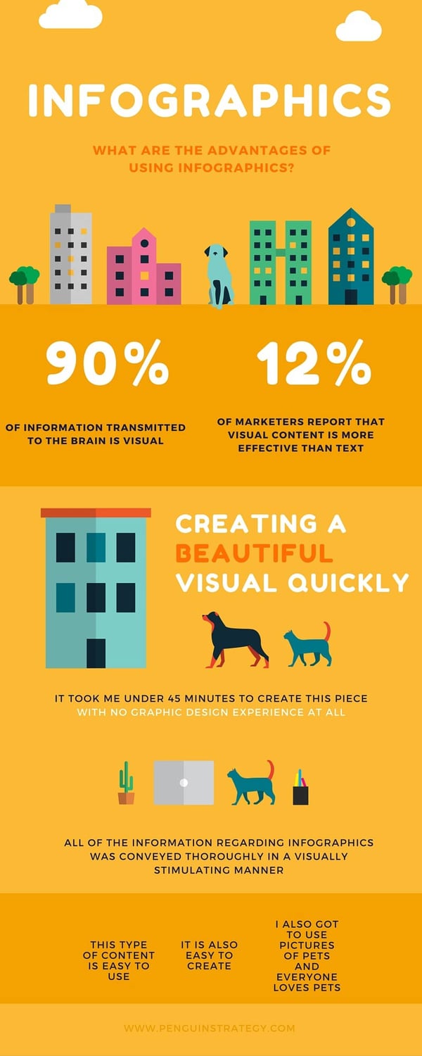 Canva infographics