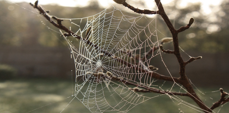 5 B2B Web Design Must-Haves For Increasing Your Lead Generation