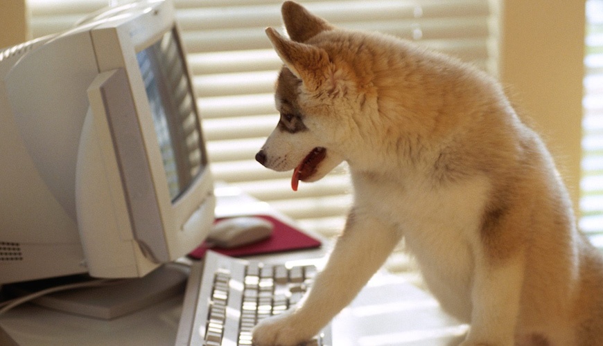 Smarter Email Marketing: Improving click-throughs