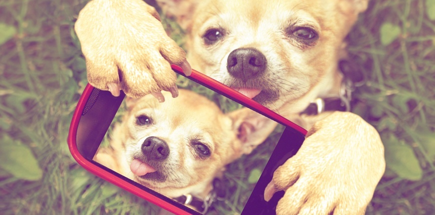 5 Ways To Use Instagram In Your B2B Marketing Strategy