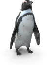 { item2.plan_icon_image.alt }}