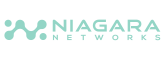 Niagara Networks - Logo . Penguin Strategies