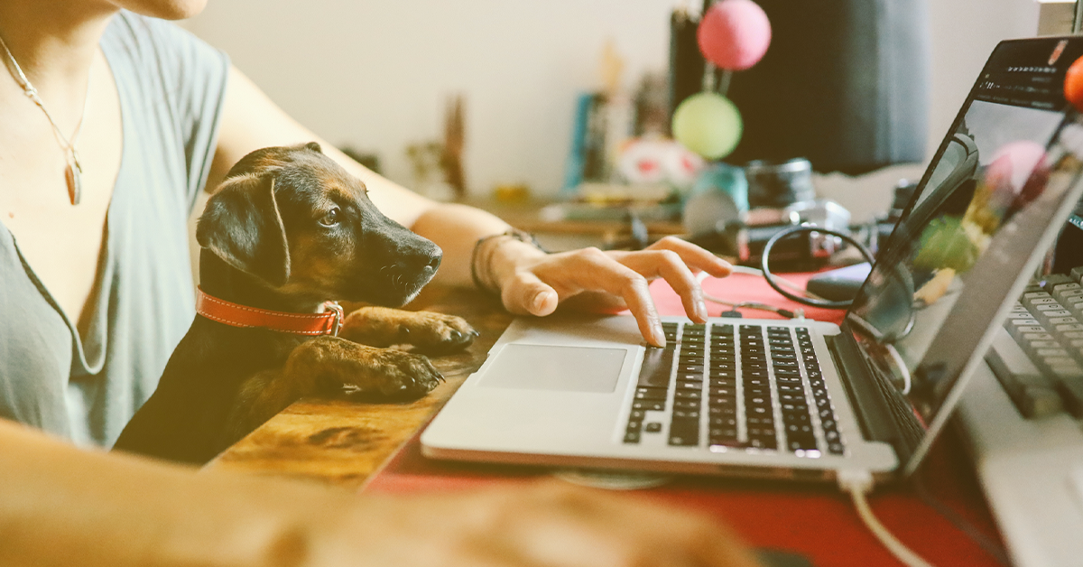 Weird (but Successful) Tips from Remote Work Veterans