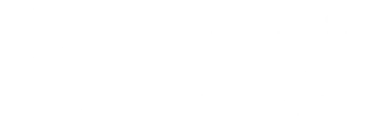 Penguin Strategies logo