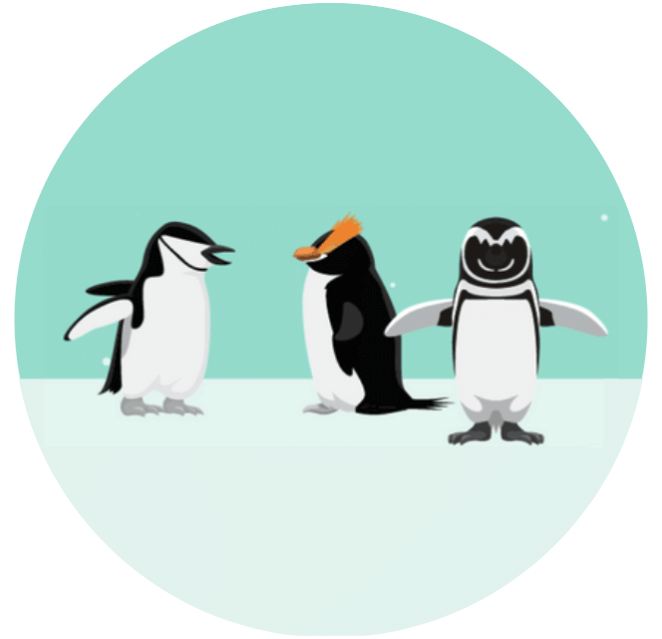 The Penguin Team