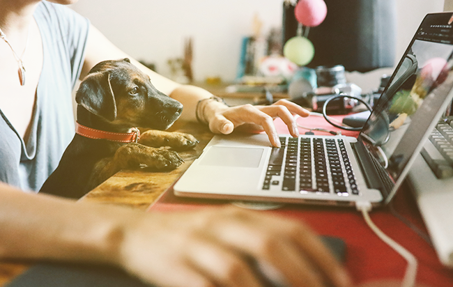 5 Weird (but Successful) Tips from Remote Work Veterans
