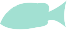 fish13