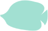 fish17