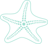 fish53